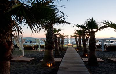 spiaggia-palme