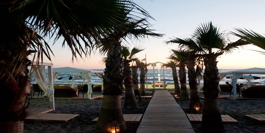 spiaggia-palme