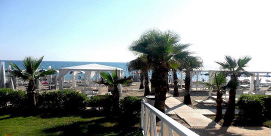 spiaggia-palme2